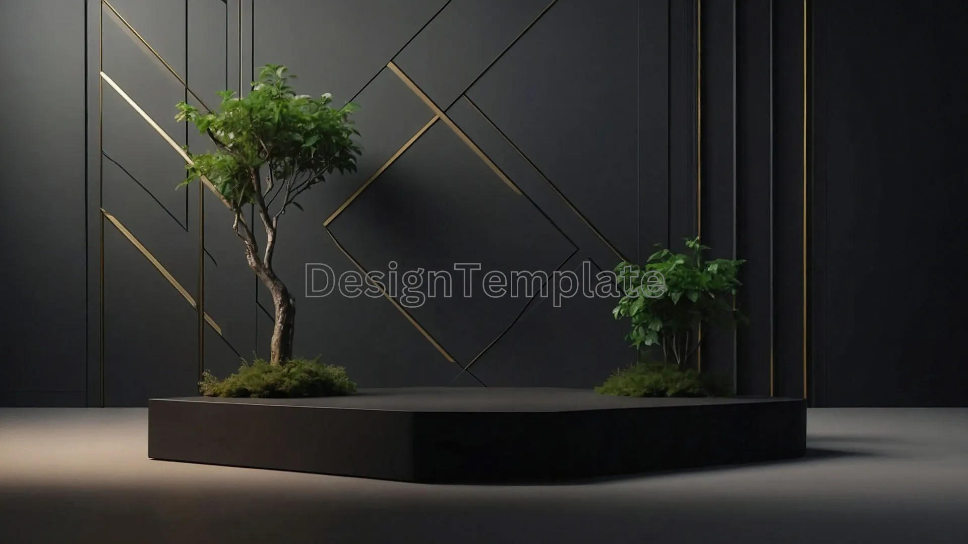 Simple Bonsai on Frame in Clean Background Photo image